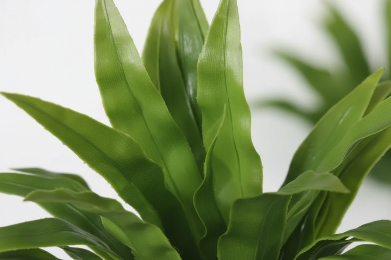 Macro detail