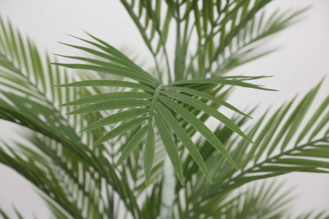 Macro detail