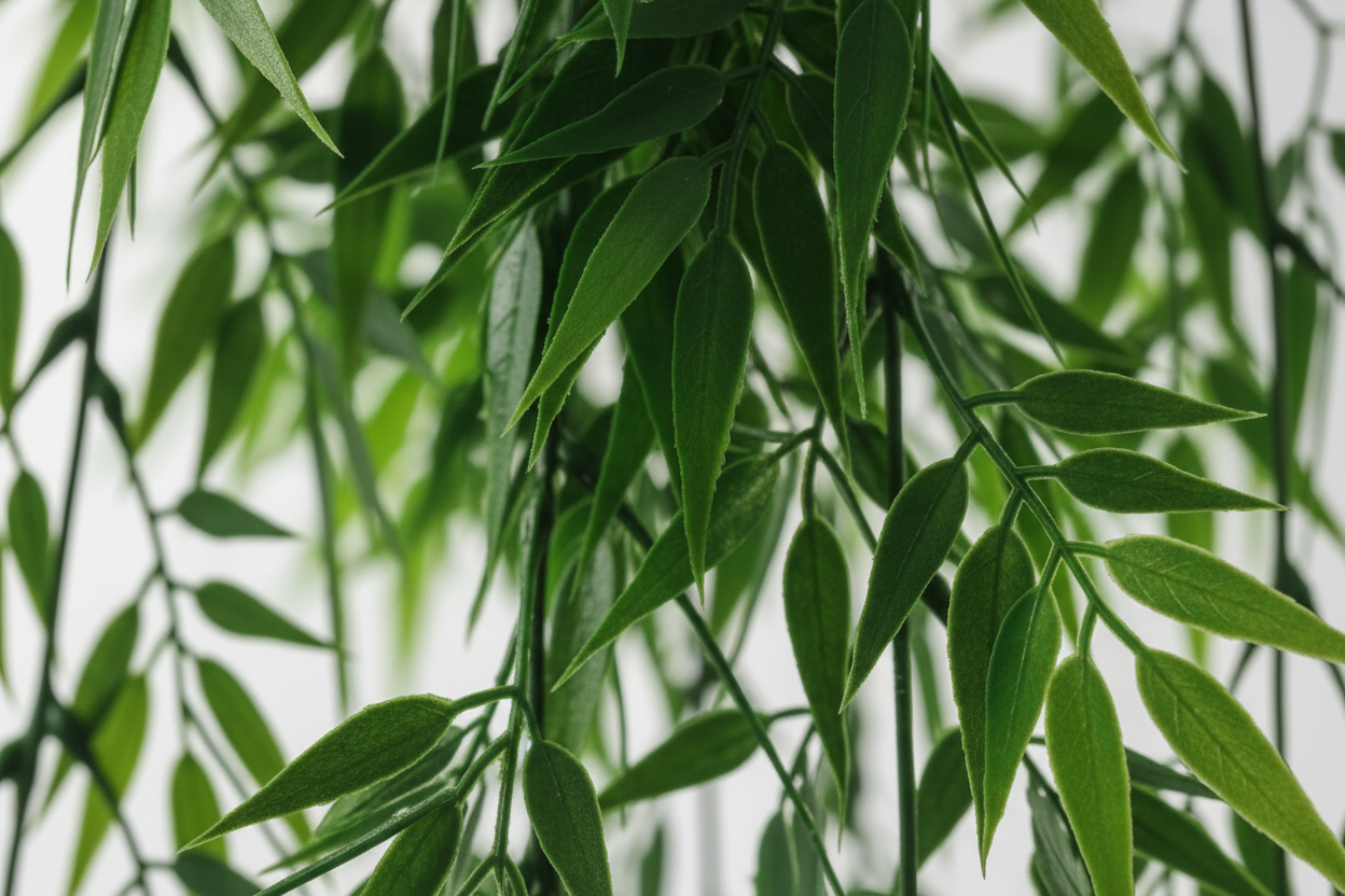 Macro foliage detail