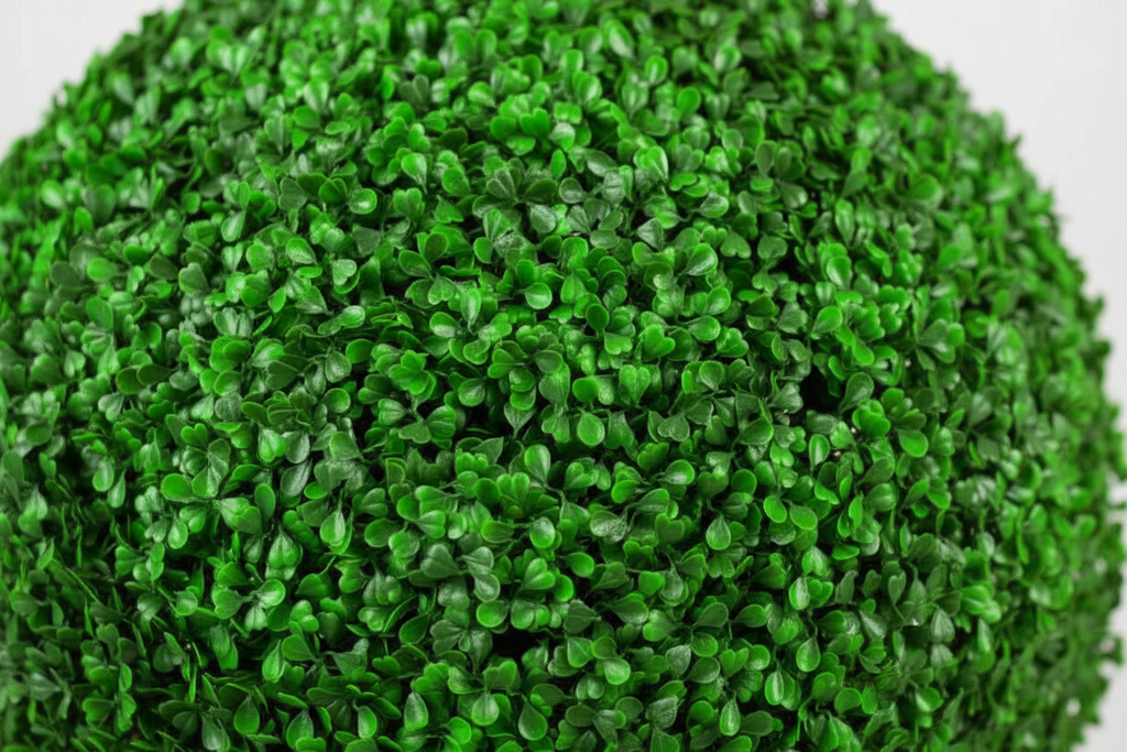 Macro foliage detail