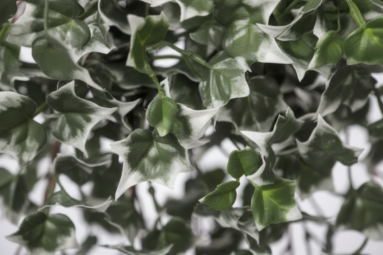 Macro foliage detail
