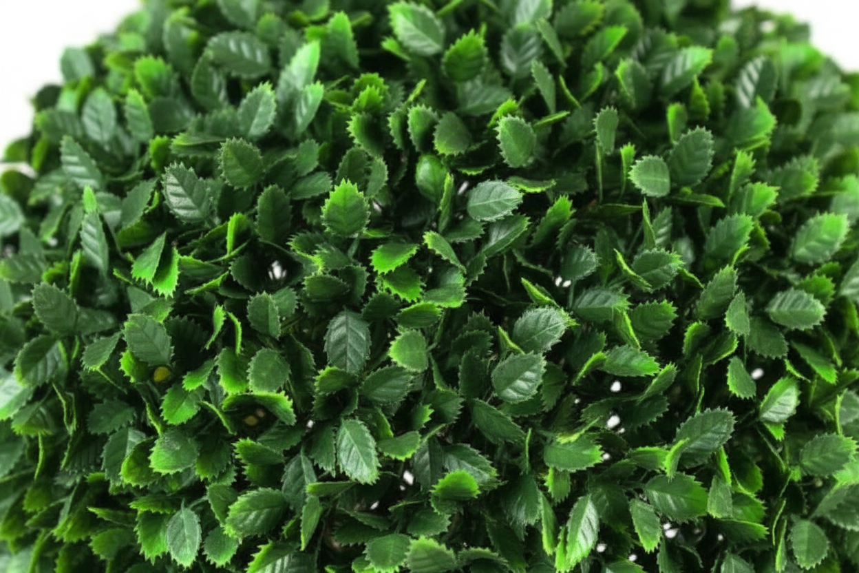 Macro foliage detail