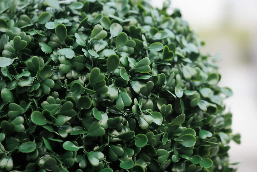 Macro foliage detail