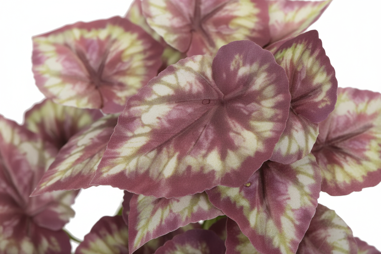 Macro foliage detail