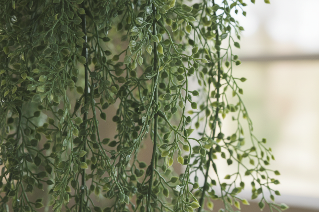 Macro foliage