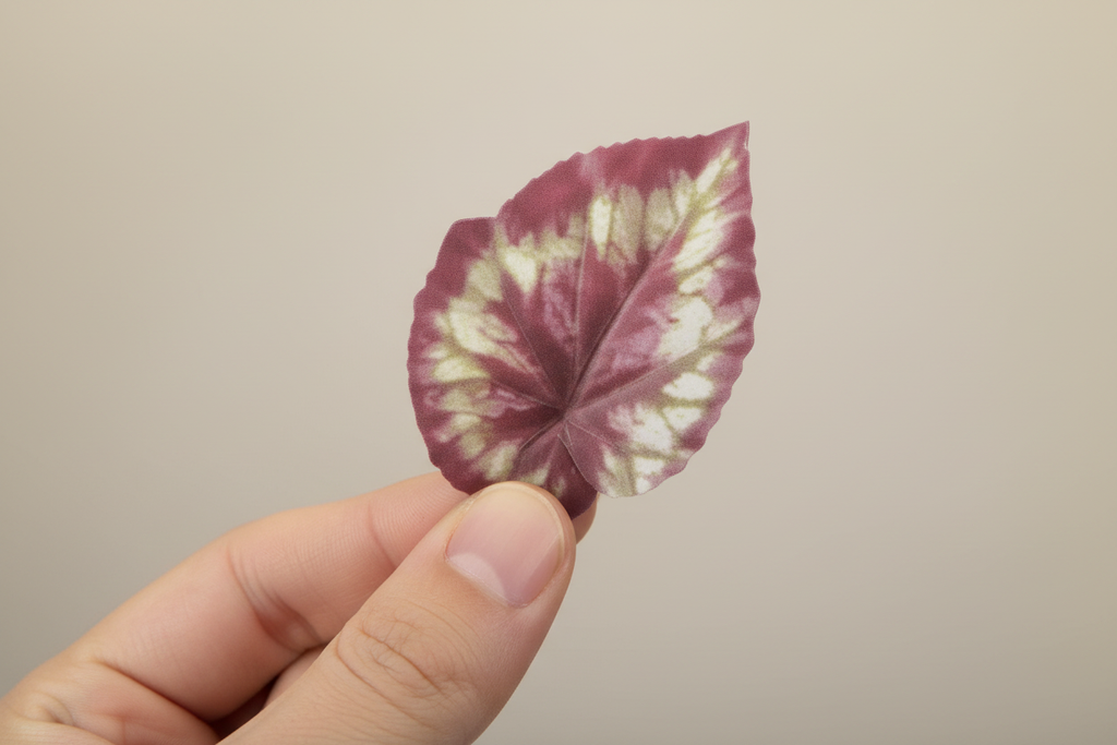 Macro leaf in hand