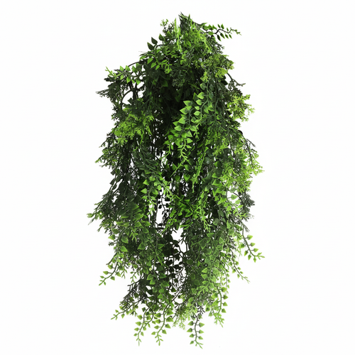 Mediterranean Fern Vine Product Shot