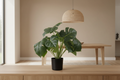 Monstera Deliciosa on Modern Australian Dining Sideboard