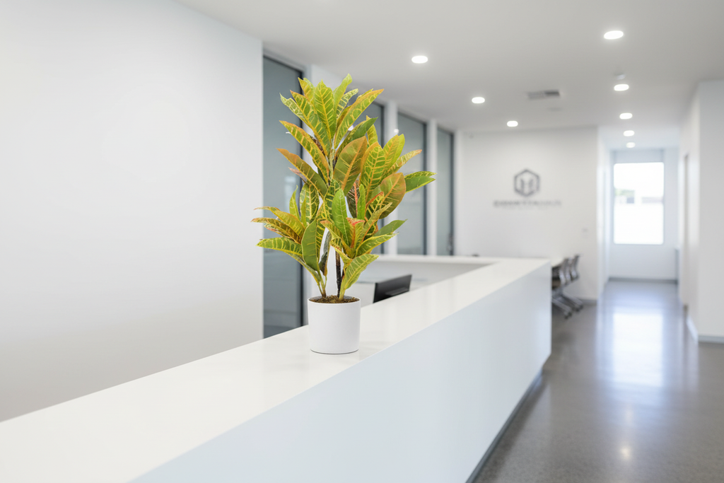 Office Reception