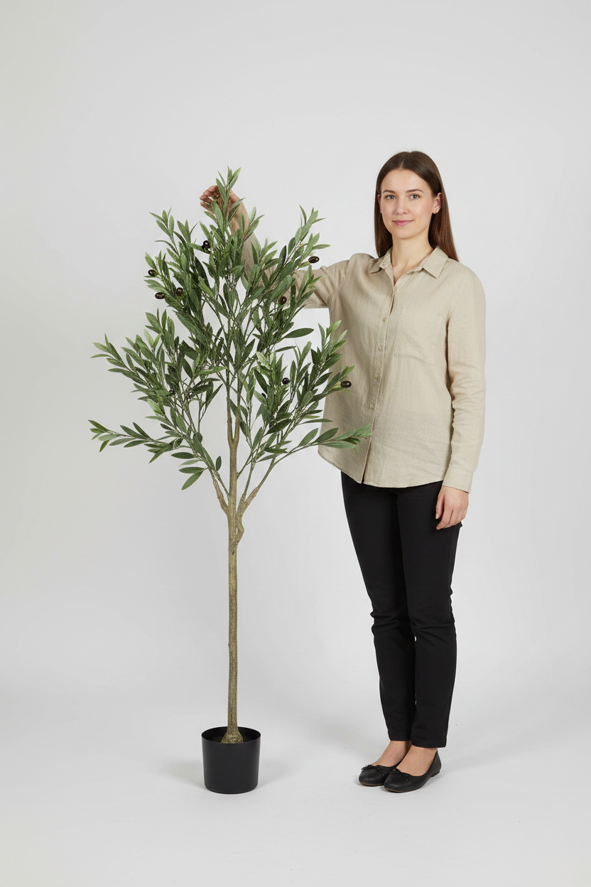 Olive Tree 150cm Full Scale