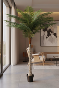 Palm Tree – Portrait