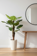 Pothos Pole – Hallway