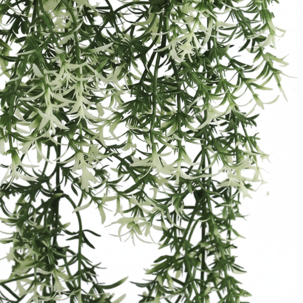 Star Jasmine Vine Close-Up