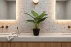 Taro Elephant Ear in Modern Australian Bathroom