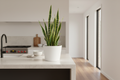 White Rendered Pot – Kitchen