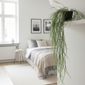 Willow Leaf Plant Bedroom Portrait