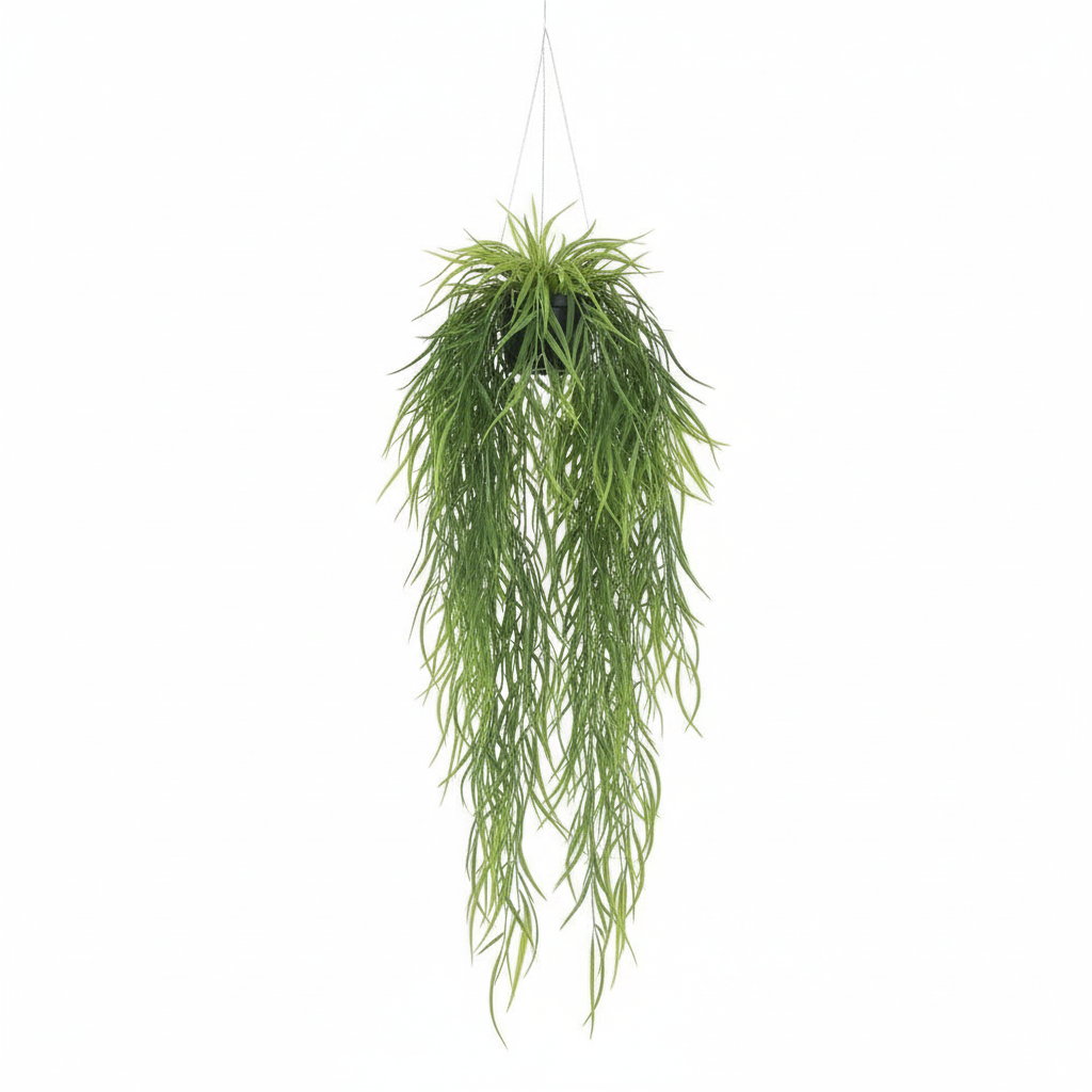 Willow Leaf Plant Product Shot