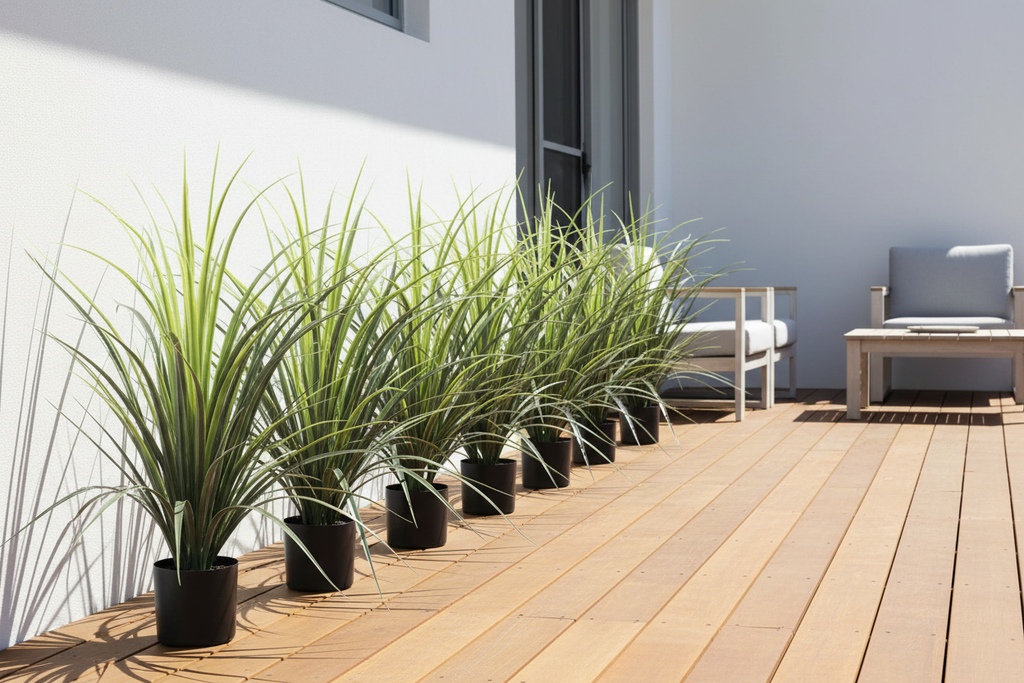 Yucca Grass 75cm Clustered on Modern Australian Alfresco