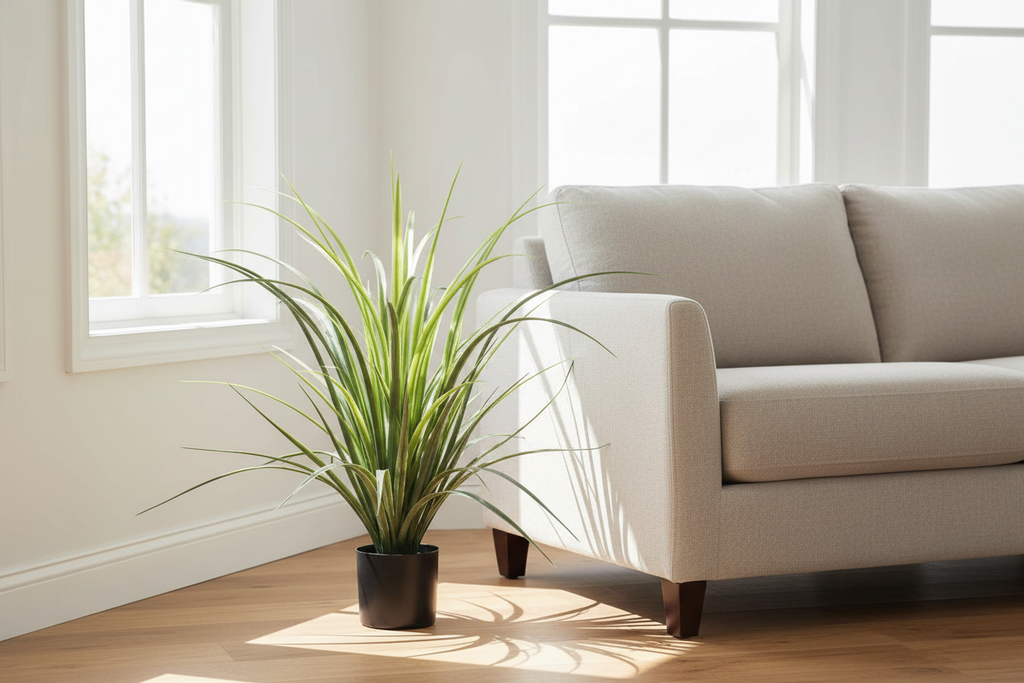 Yucca Grass 75cm in Modern Australian Living Room