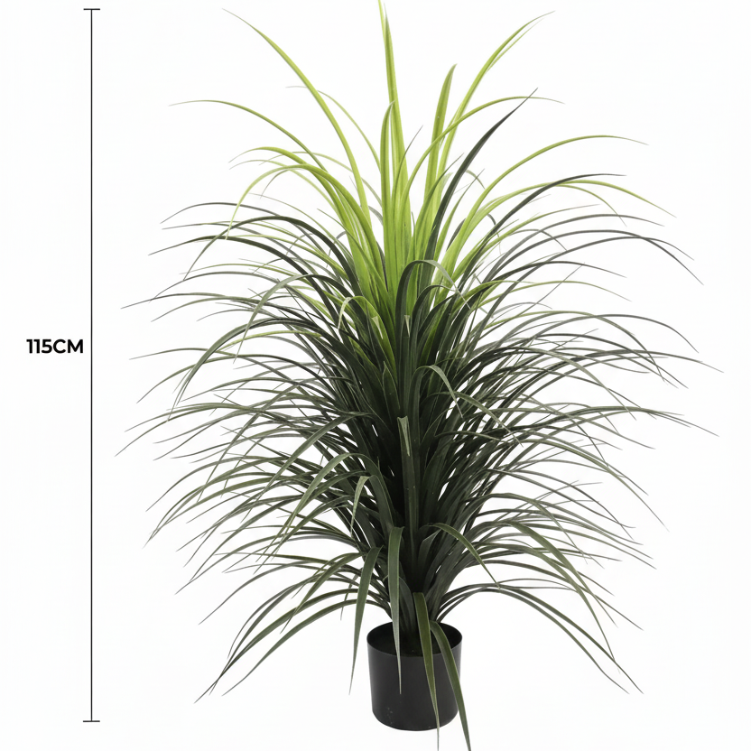 Yucca Grass - Product Shot